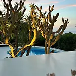 Mi Lugar By Solidays